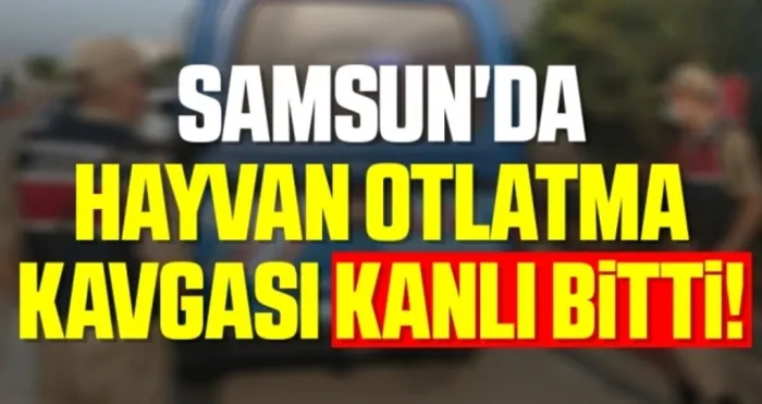 Samsun'da hayvan otlatma kavgası kanlı bitti!