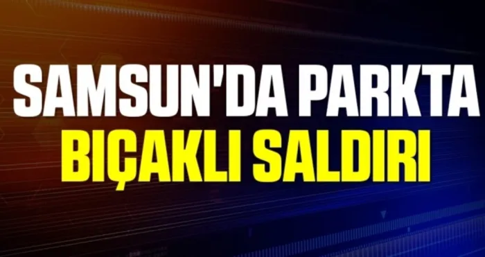 Samsun'da parkta bıçaklı saldırıda yaralandı