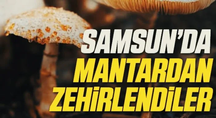 Samsun'da 3 kişi yedikleri mantardan zehirlendi