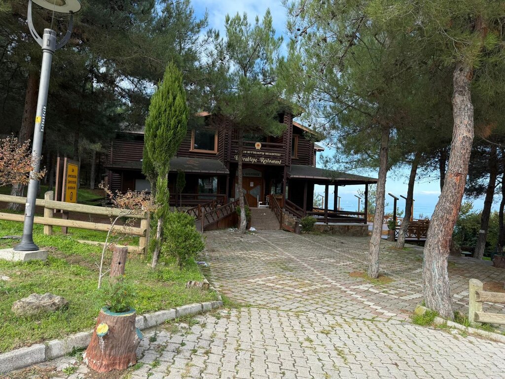 Bayraktepe Tabiat Parkı'nda Neler Oluyor? - SAMSUN HABER - Hedef Halk  Gazetesi