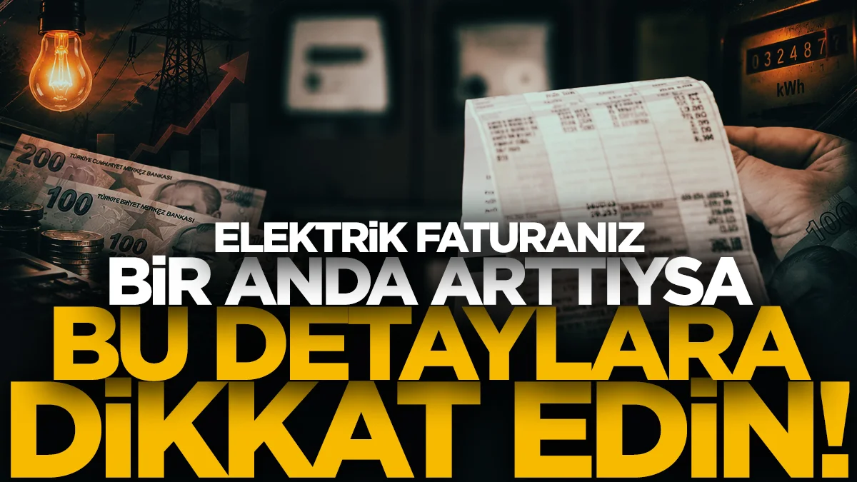Elektrik faturası bir anda yükseldiyse bu detaylara dikkat!