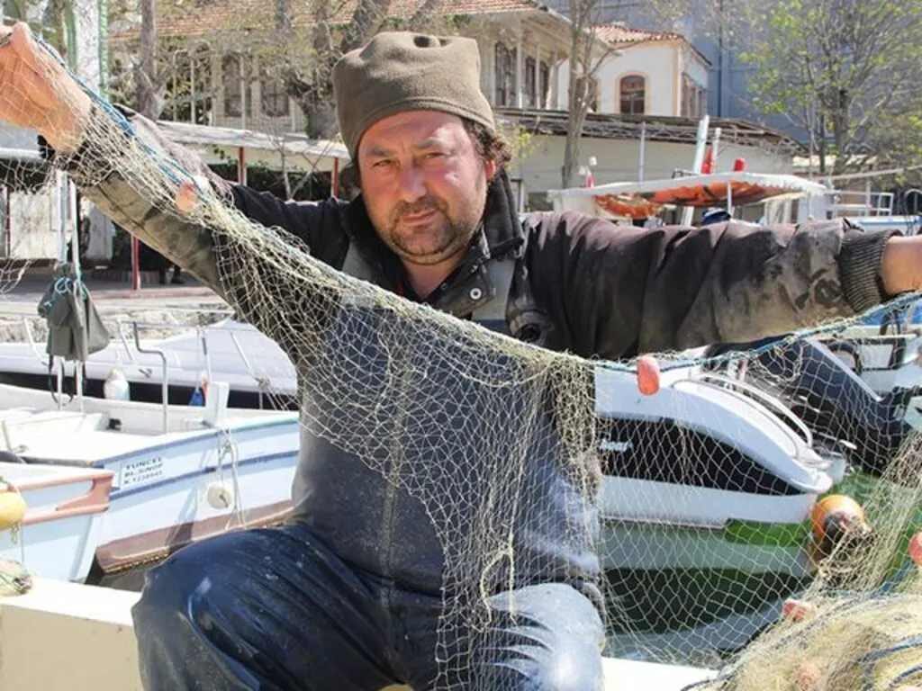 Küçük balıkçıların başı yunuslarla dertte