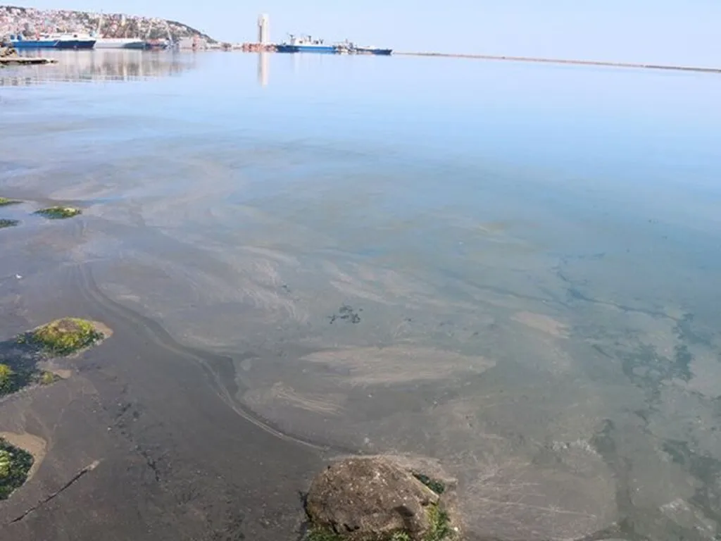 Samsun Limanı'ndaki kirlilik büyüyor