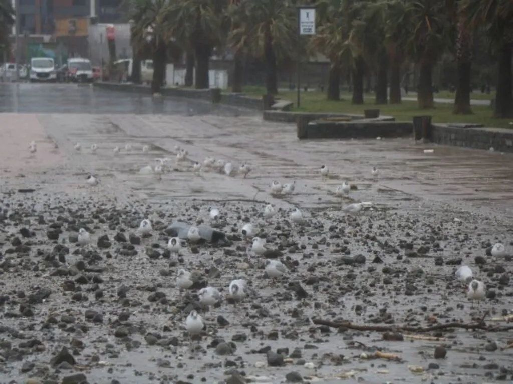 Samsun’da karada tipi, denizde fırtına