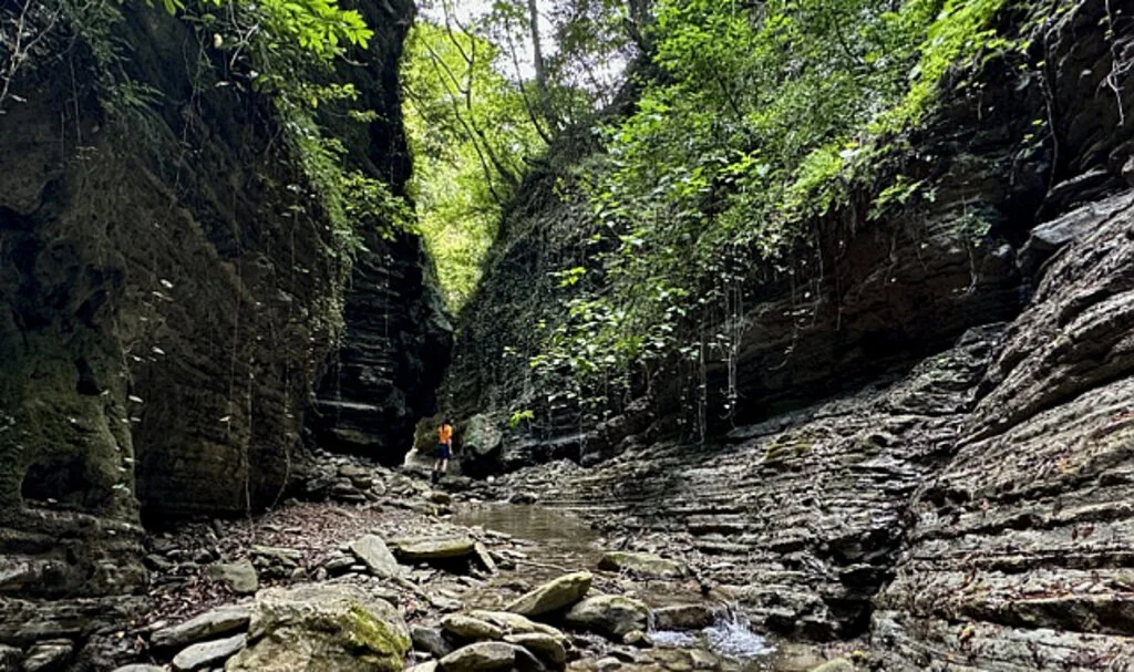 Cevizdibi Kanyonu doğal güzellikleriyle Karadeniz'de turizm rotalarından biri olmaya aday