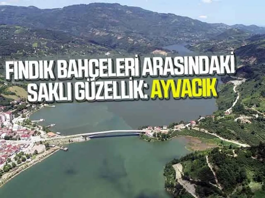 Fındık bahçeleri arasındaki saklı güzellik: Samsun Ayvacık