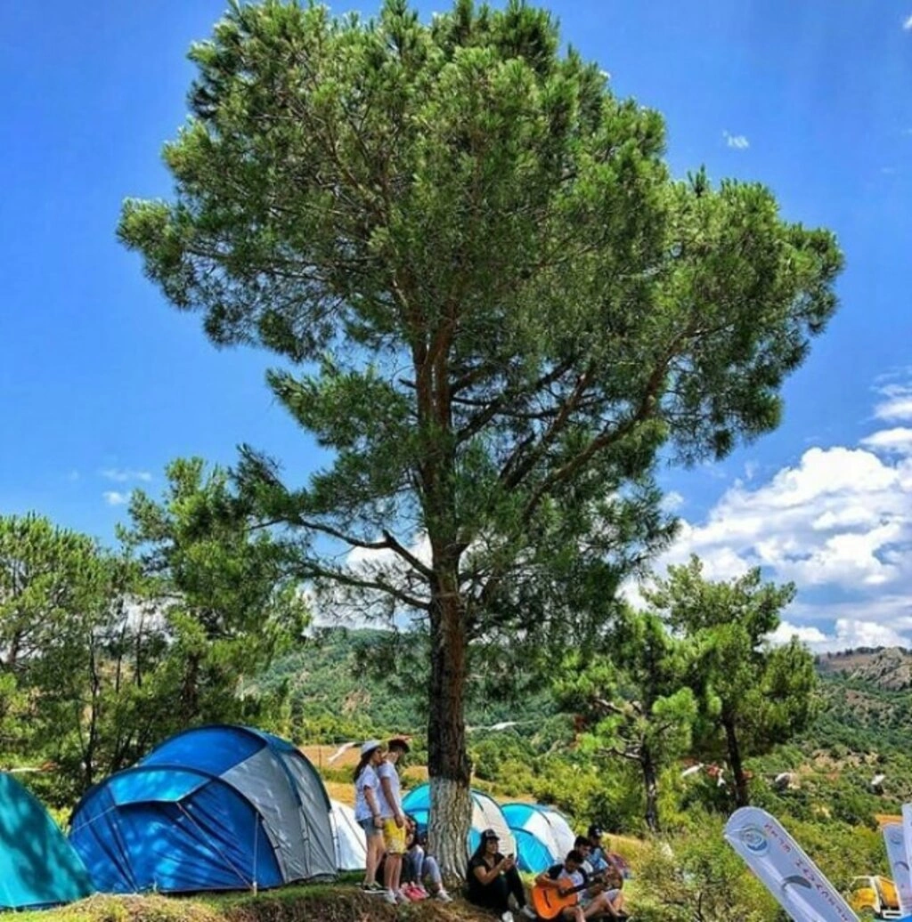 KapıkayaFest başladı - Resim 3