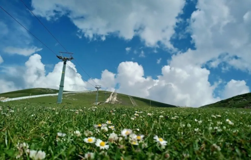 Dört Mevsim Samsun Fotoğrafları - Resim 1