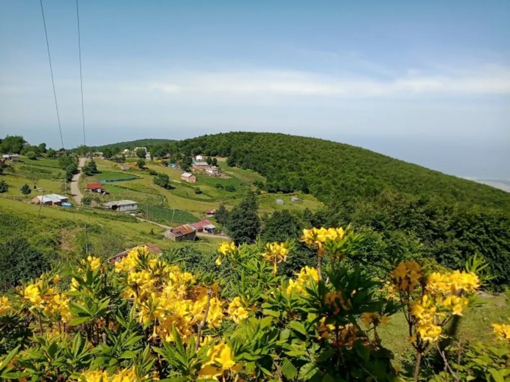 Dört Mevsim Samsun Fotoğrafları - Resim 2