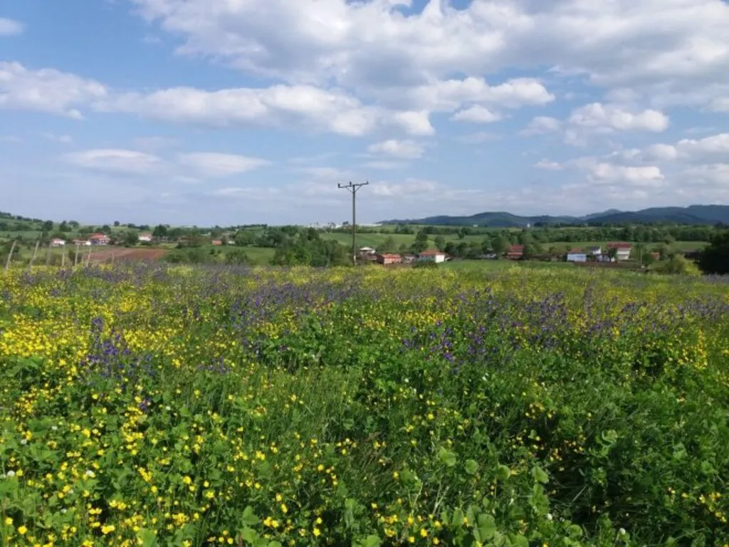 Dört Mevsim Samsun Fotoğrafları - Resim 4