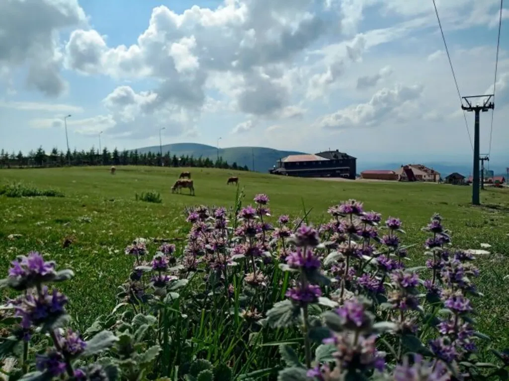 Dört Mevsim Samsun Fotoğrafları - Resim 11