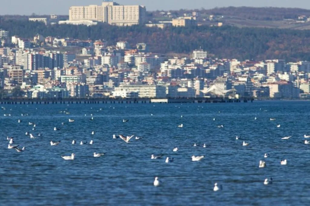 Samsunlular yılın son gününde sahilde güneşli havanın tadını çıkardı - Resim 7