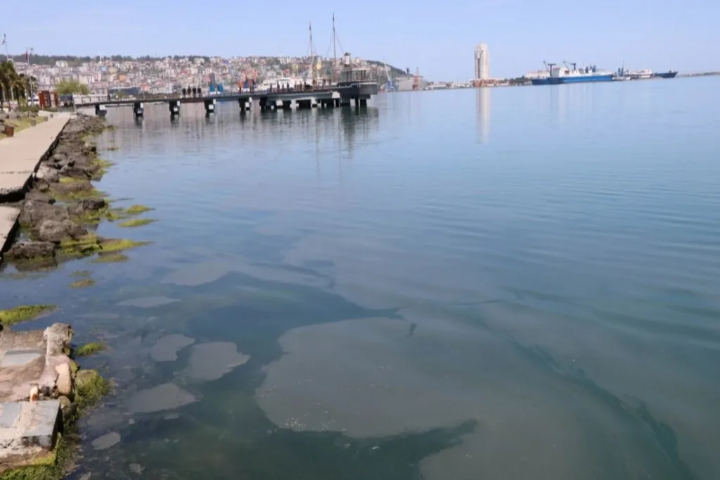 Samsun Limanı'nda tedirgin eden kirlilik: Gözler gemilerde - Resim 12