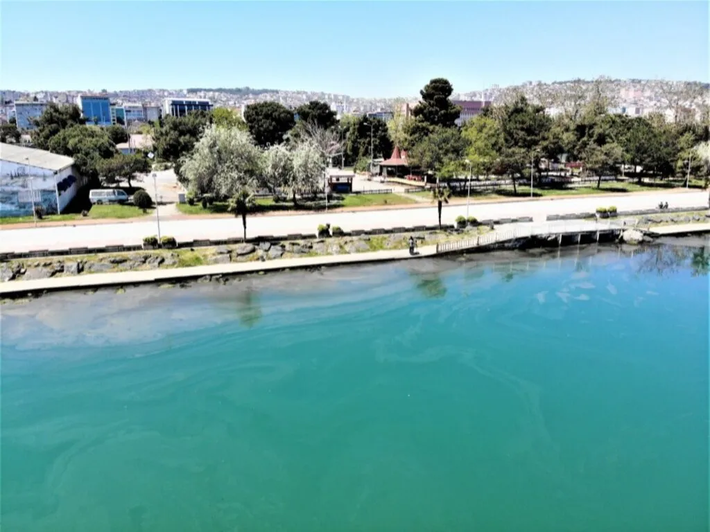 Samsun Limanı'ndaki kirlilik büyüyor - Resim 3
