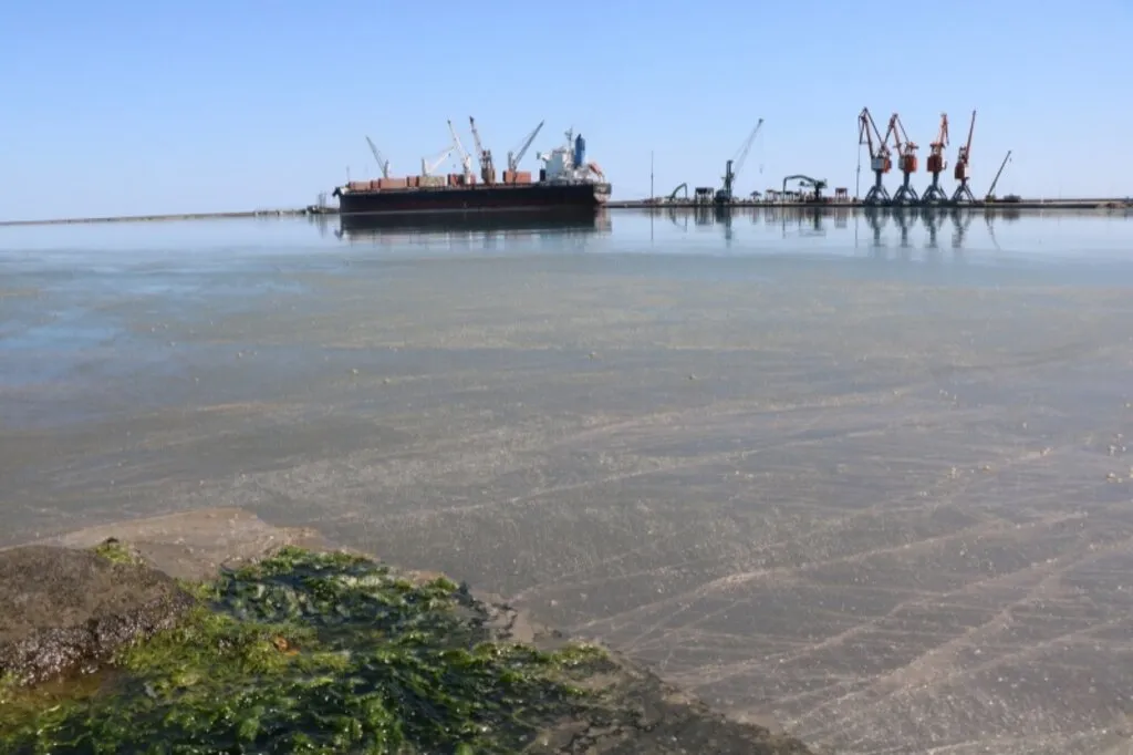 Samsun Limanı'ndaki kirlilik büyüyor - Resim 9