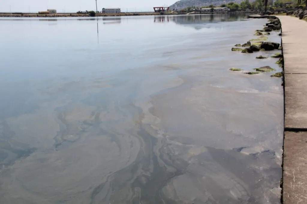 Samsun Limanı'ndaki kirlilik büyüyor - Resim 10