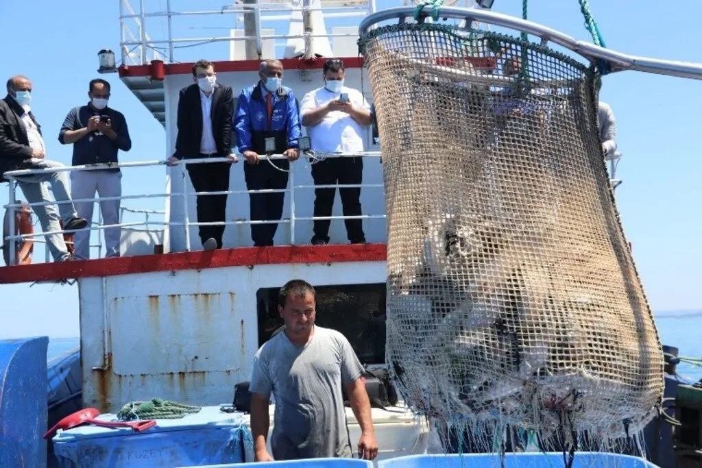 Samsun’da Türk Somonu Hasadı - Resim 2