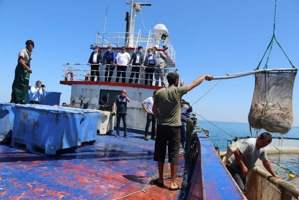 Samsun’da Türk Somonu Hasadı - Resim 6