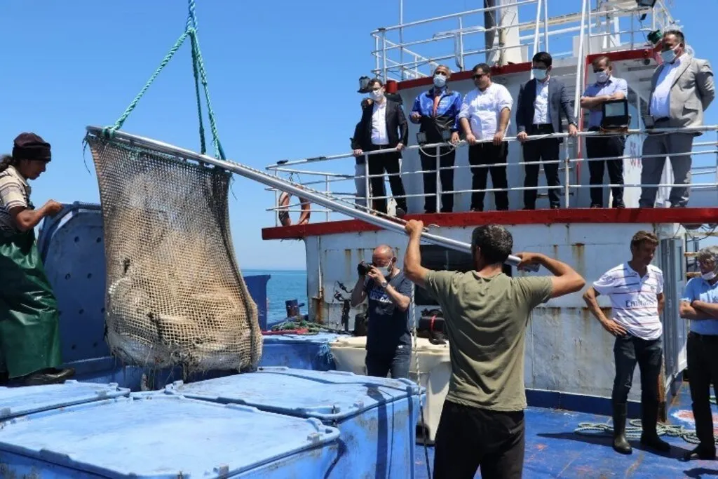 Samsun’da Türk Somonu Hasadı - Resim 7