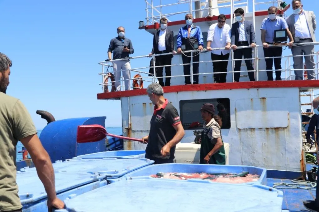 Samsun’da Türk Somonu Hasadı - Resim 12