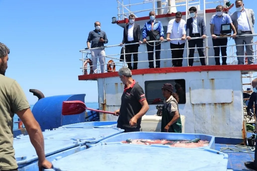 Samsun’da Türk Somonu Hasadı - Resim 13