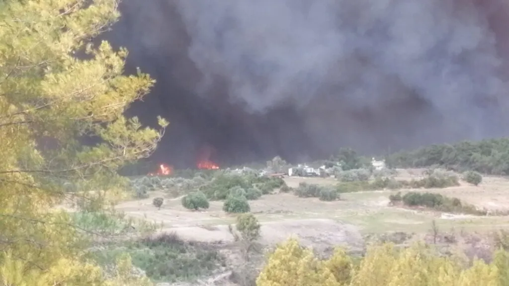 Manavgat'ta hızla büyüyen yangın yerleşim alanlarına indi - Resim 10