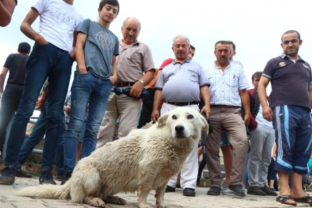 'KIRMIZI ALARM' SÜRÜYOR - Resim 32