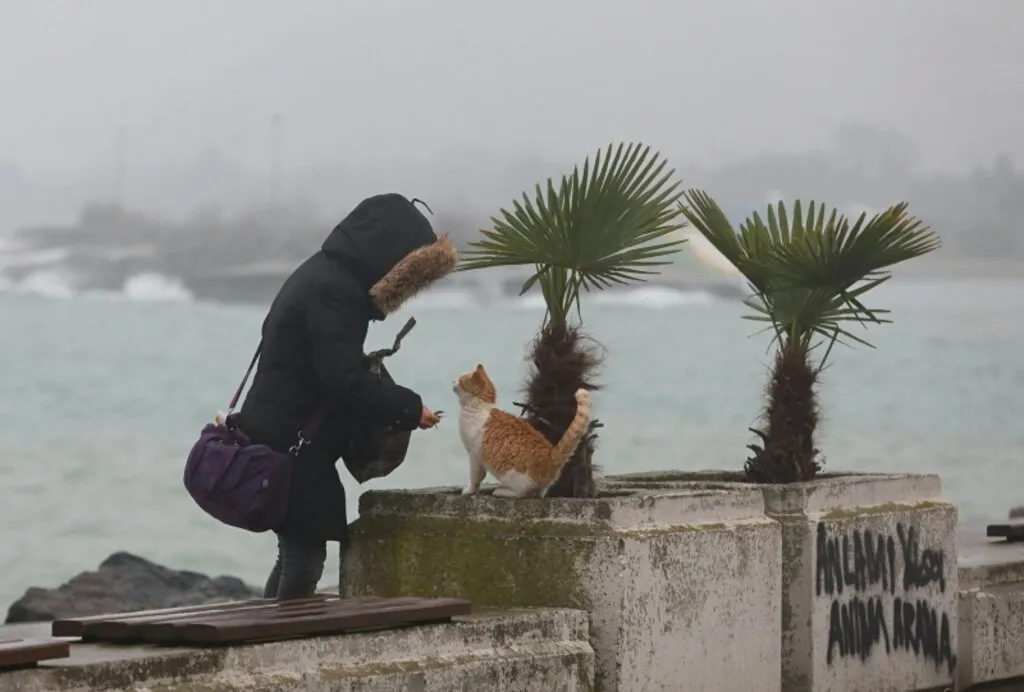 Samsun'da sağanak ve sis hayatı olumsuz etkiledi - Resim 1