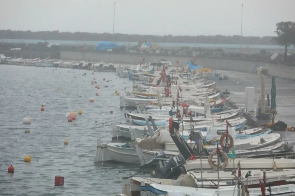 Samsun'da sağanak ve sis hayatı olumsuz etkiledi - Resim 6