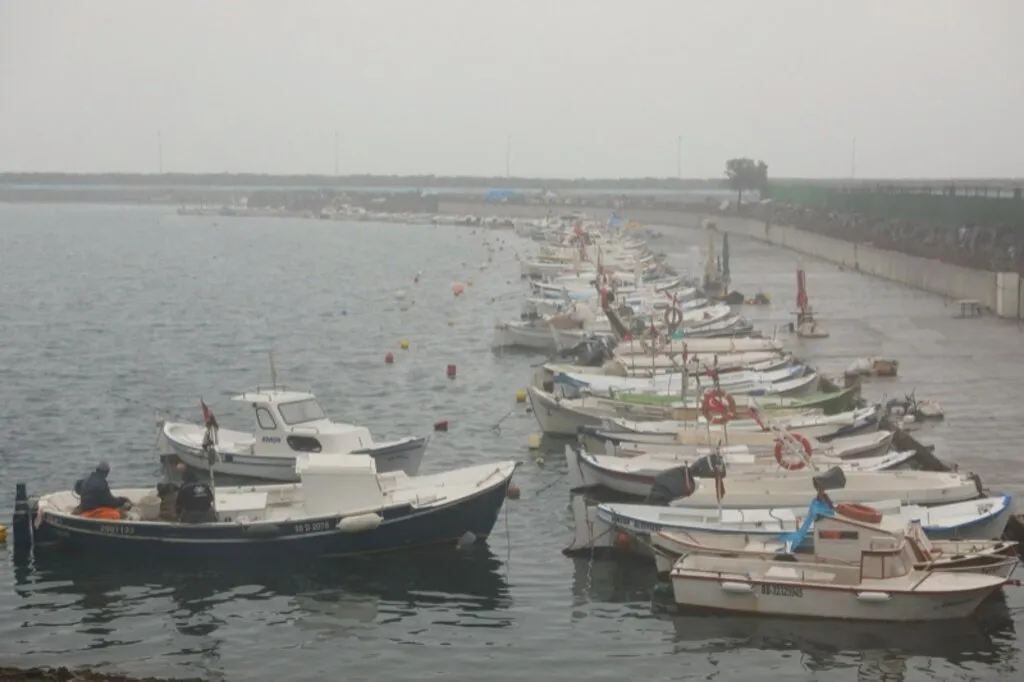 Samsun'da sağanak ve sis hayatı olumsuz etkiledi - Resim 2