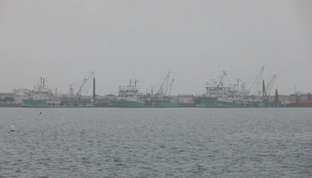 Samsun'da sağanak ve sis hayatı olumsuz etkiledi - Resim 9