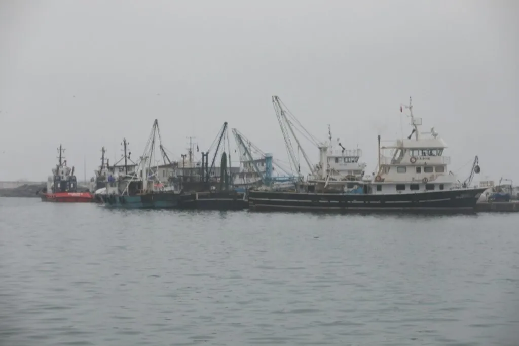 Samsun'da sağanak ve sis hayatı olumsuz etkiledi - Resim 10