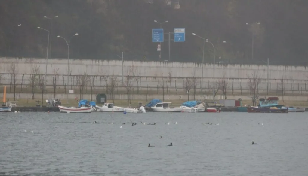 Samsun'da sağanak ve sis hayatı olumsuz etkiledi - Resim 12