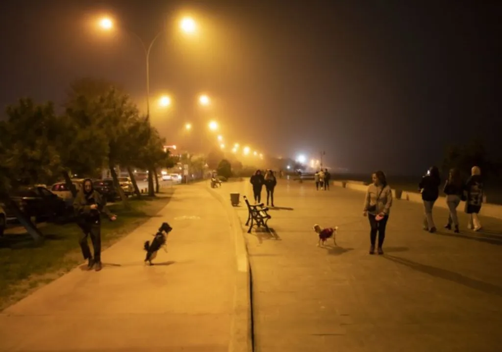 Samsun'da Yoğun Sis - Resim 1