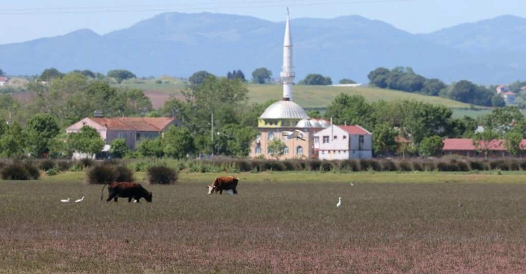 Kıyı Erozyonu Kızılırmak Deltası'nın Geleceğini Tehdit Ediyor - Resim 2