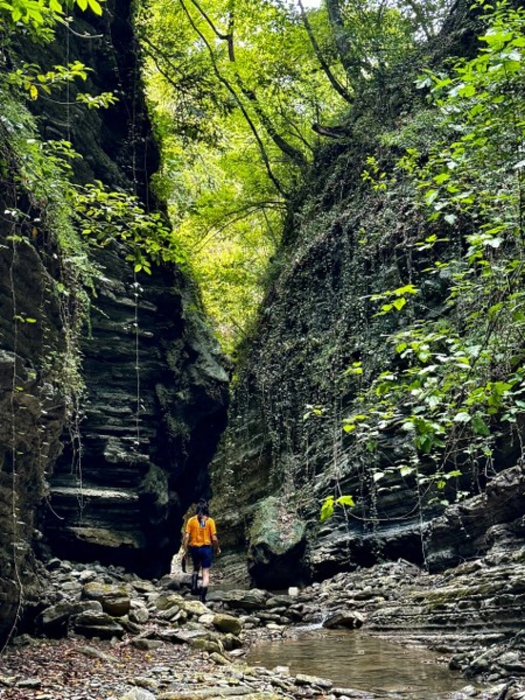 Cevizdibi Kanyonu doğal güzellikleriyle Karadeniz'de turizm rotalarından biri olmaya aday - Resim 4