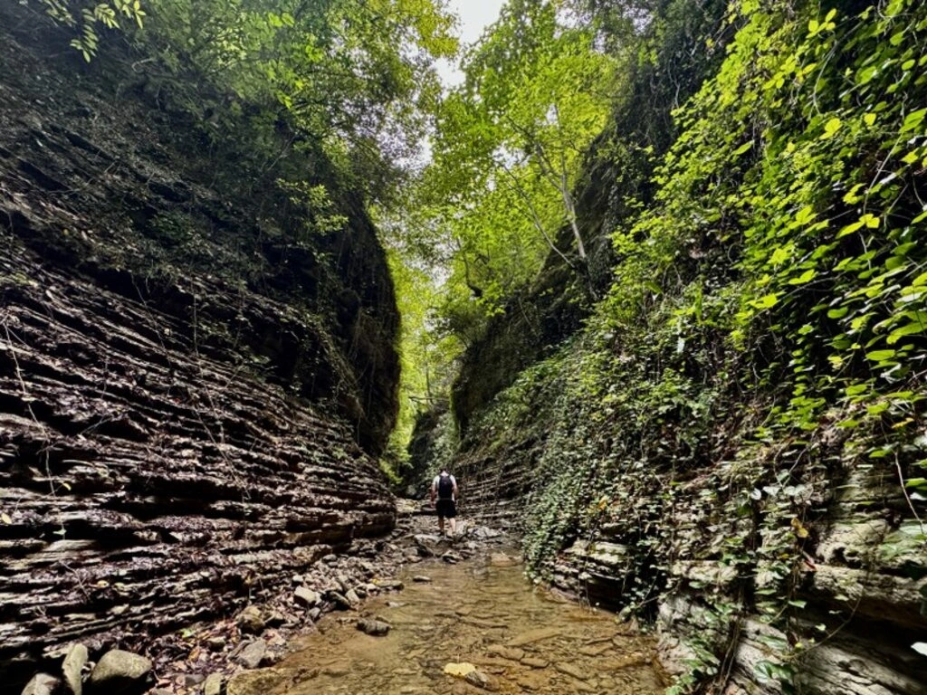 Cevizdibi Kanyonu doğal güzellikleriyle Karadeniz'de turizm rotalarından biri olmaya aday - Resim 5