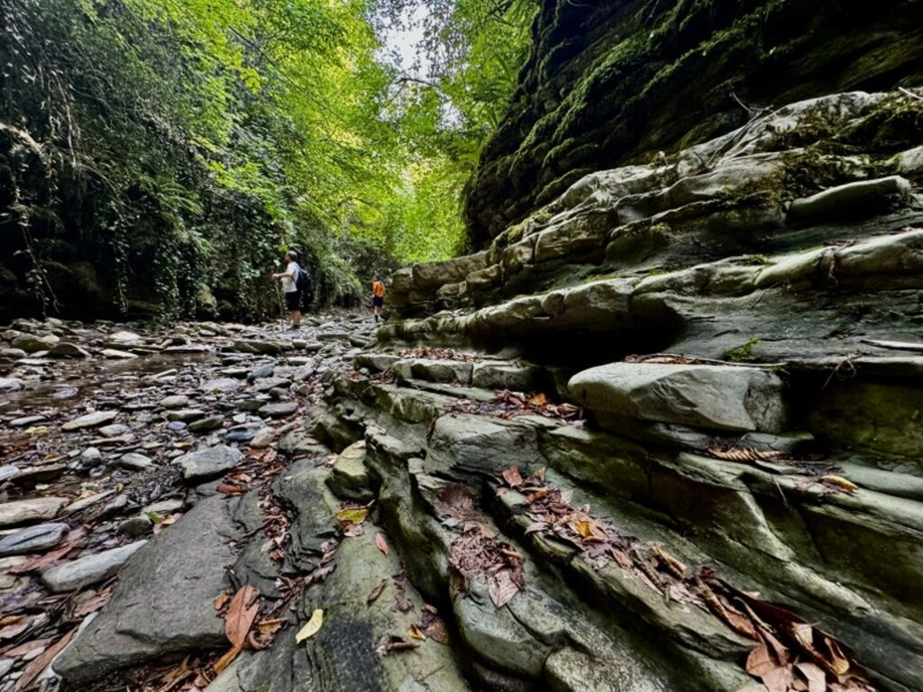 Cevizdibi Kanyonu doğal güzellikleriyle Karadeniz'de turizm rotalarından biri olmaya aday - Resim 10