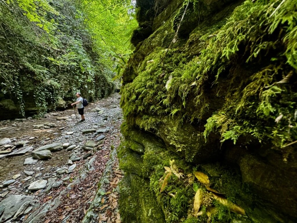 Cevizdibi Kanyonu doğal güzellikleriyle Karadeniz'de turizm rotalarından biri olmaya aday - Resim 11