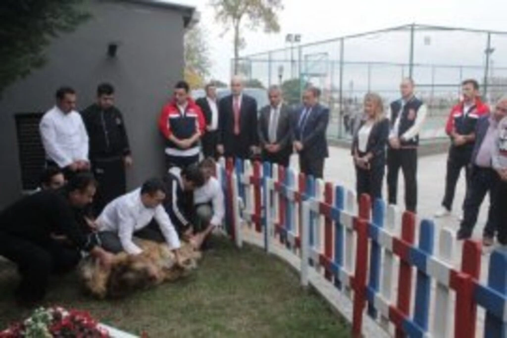 Bahçeşehir Koleji'nin basketboldaki hedefi 'marka kulüp' olmak - Resim 11