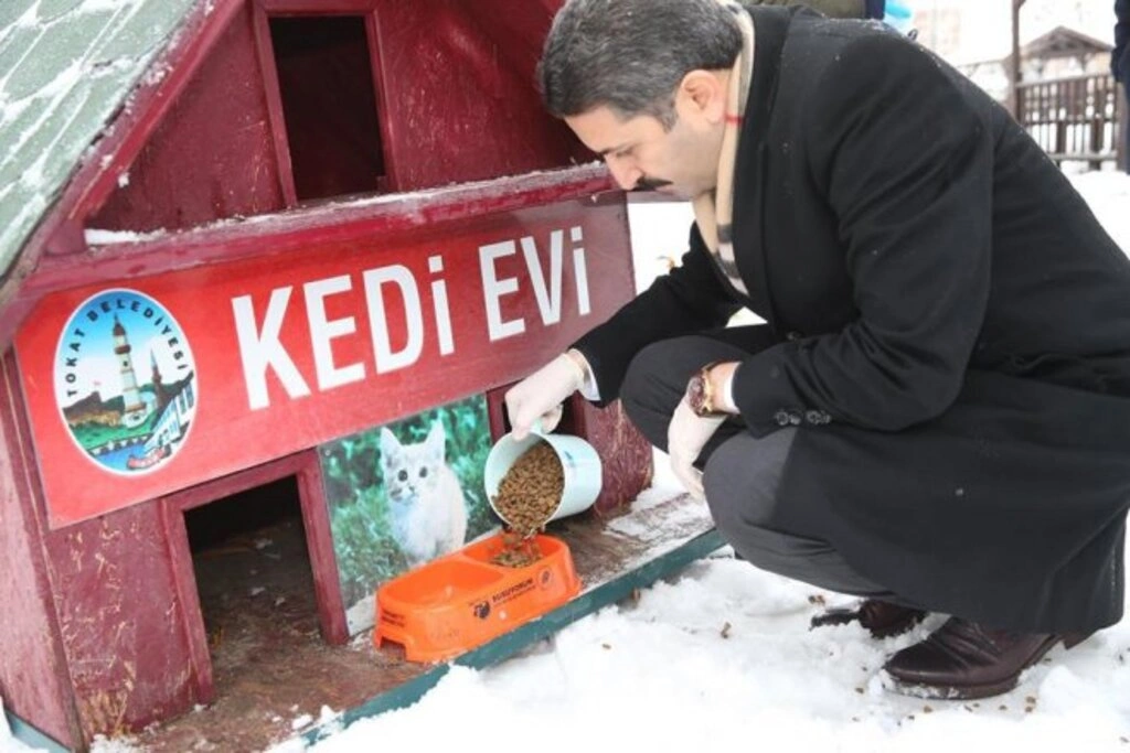 HER YERDE KAR VAR - Resim 3