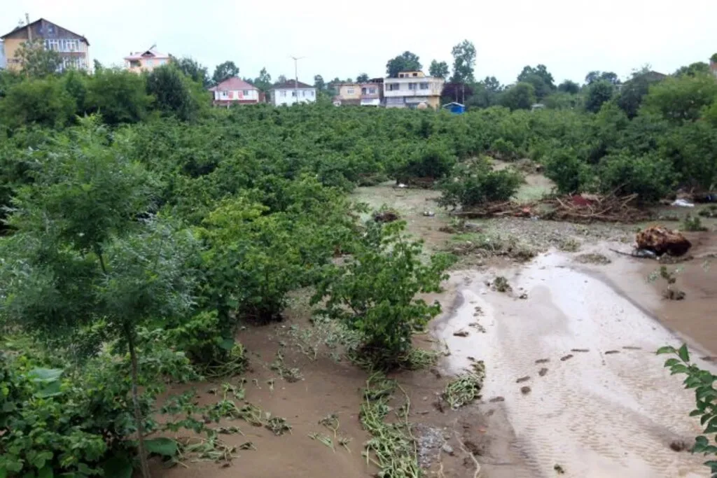 Samsun Terme'de Sel Felaketi - Resim 30