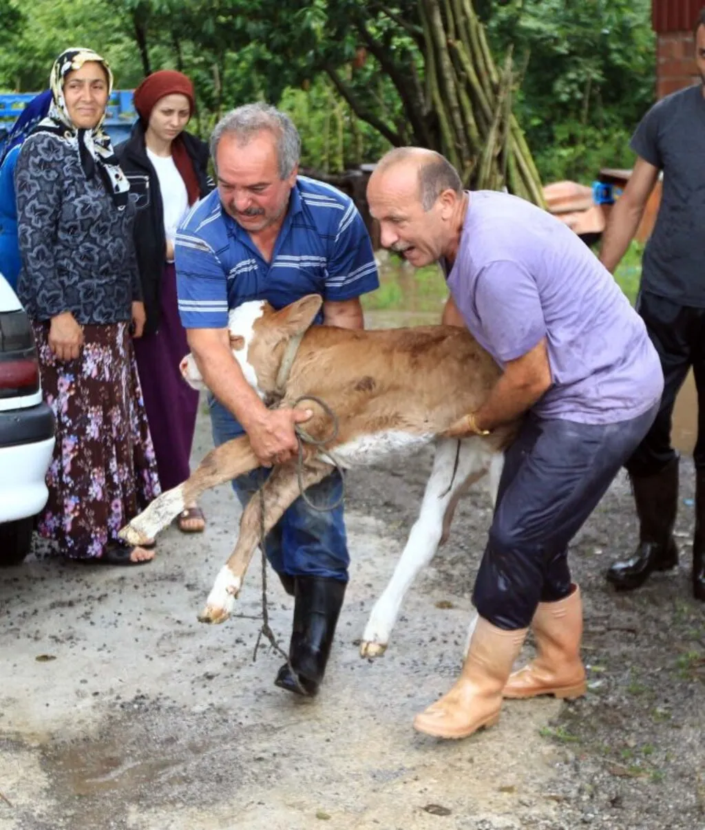 Samsun Terme'de Sel Felaketi - Resim 39