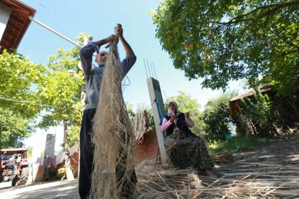 Samsun Vezirköprü Kenevir Tarlası - Resim 13