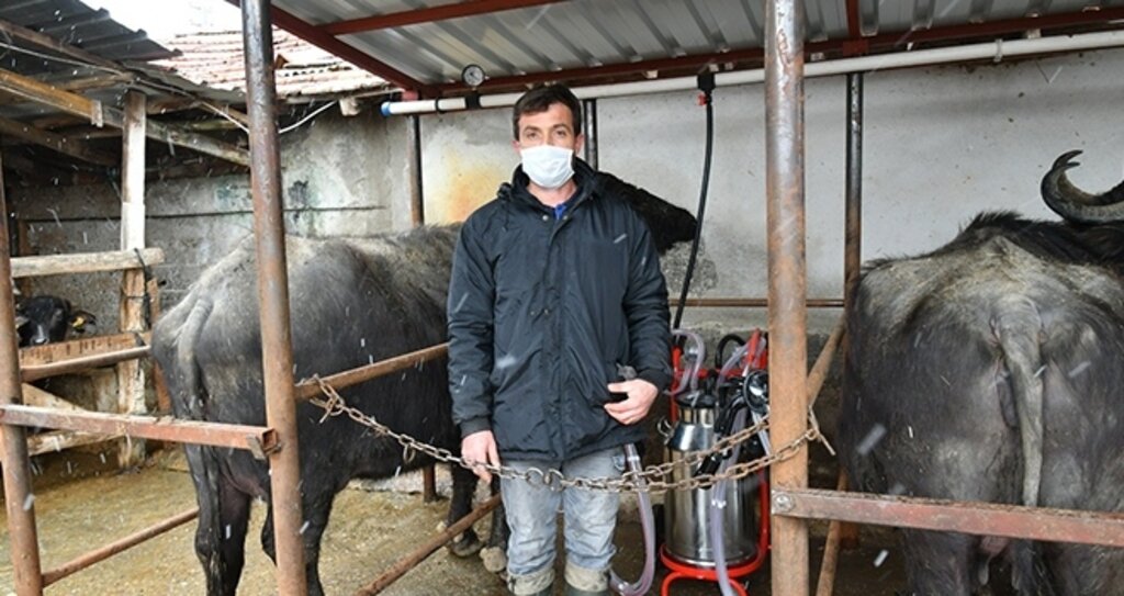 Süt üreticilerin yüzü güldü