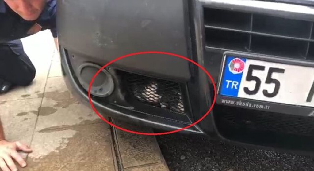 Aracın motor kısmına giren yavru kediyi itfaiye kurtardı