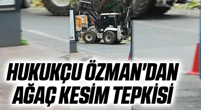 Hukukçu Özman'dan ağaç kesim tepkisi