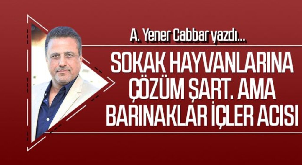A.YENER CABBAR yazdı: Sokak hayvanlarına çözüm şart. Ama barınaklar içler acısı