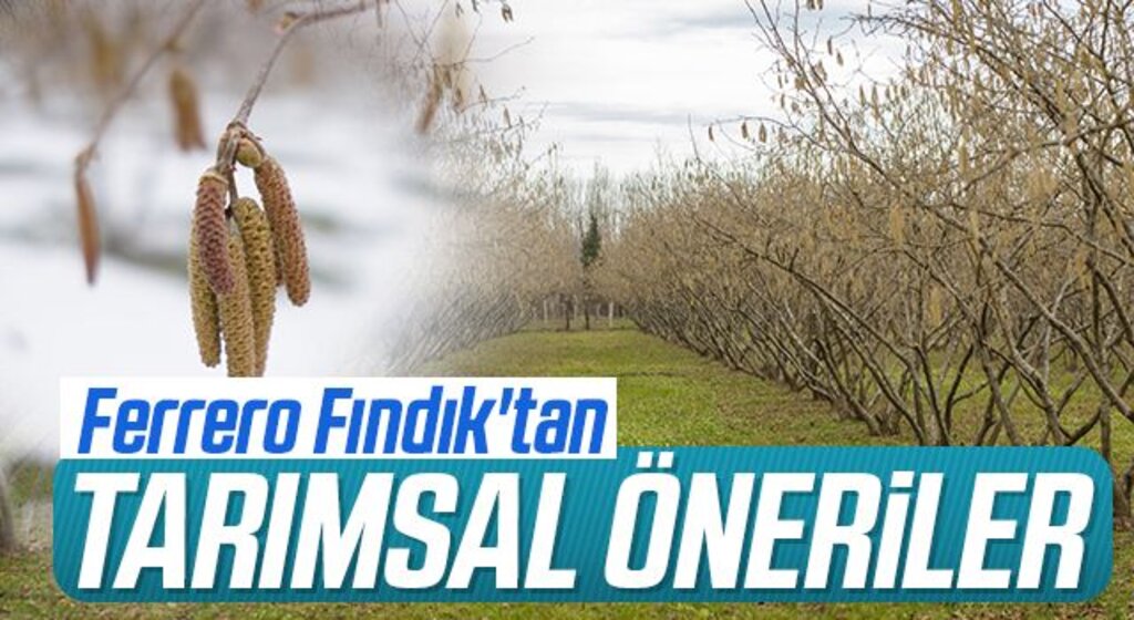 Ferrero Fındık'tan tarımsal öneriler