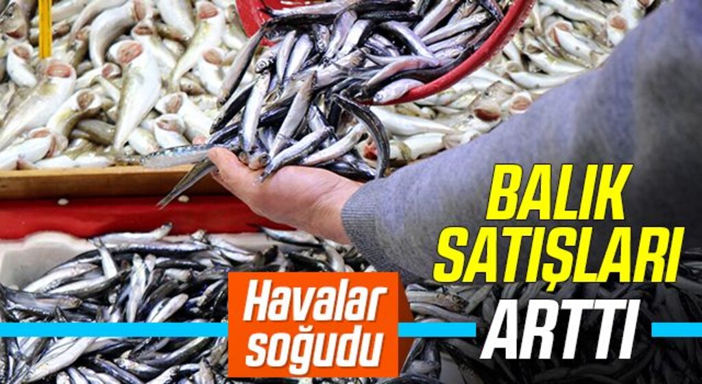 Havalar soğudu, balık satışları arttı